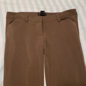 Dress pants